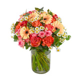 Peachy Pop - Flowers & Plants Co