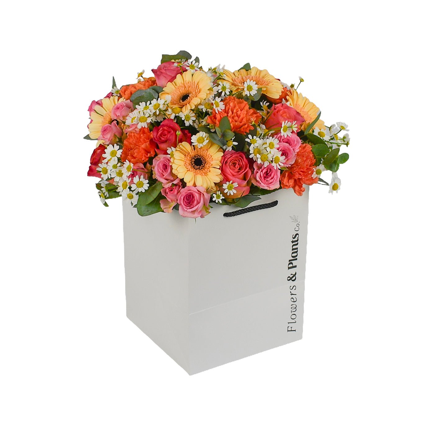 Peachy Pop - Flowers &amp; Plants Co