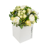 Perfect Peony - Flowers & Plants Co
