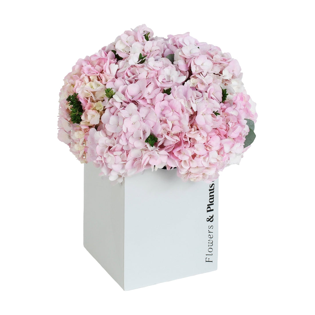 Pink Sand - Flowers &amp; Plants Co