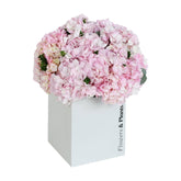 Pink Sand - Flowers & Plants Co