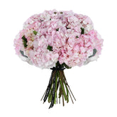 Pink Sand - Flowers & Plants Co