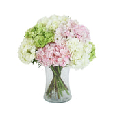 Rain in Colours - Flowers & Plants Co
