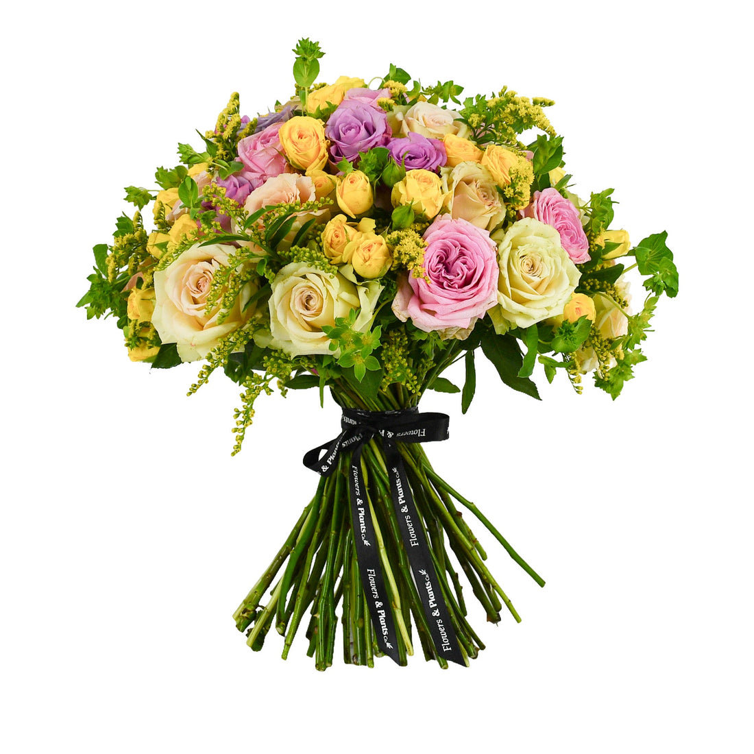 Rose Garden - Flowers &amp; Plants Co