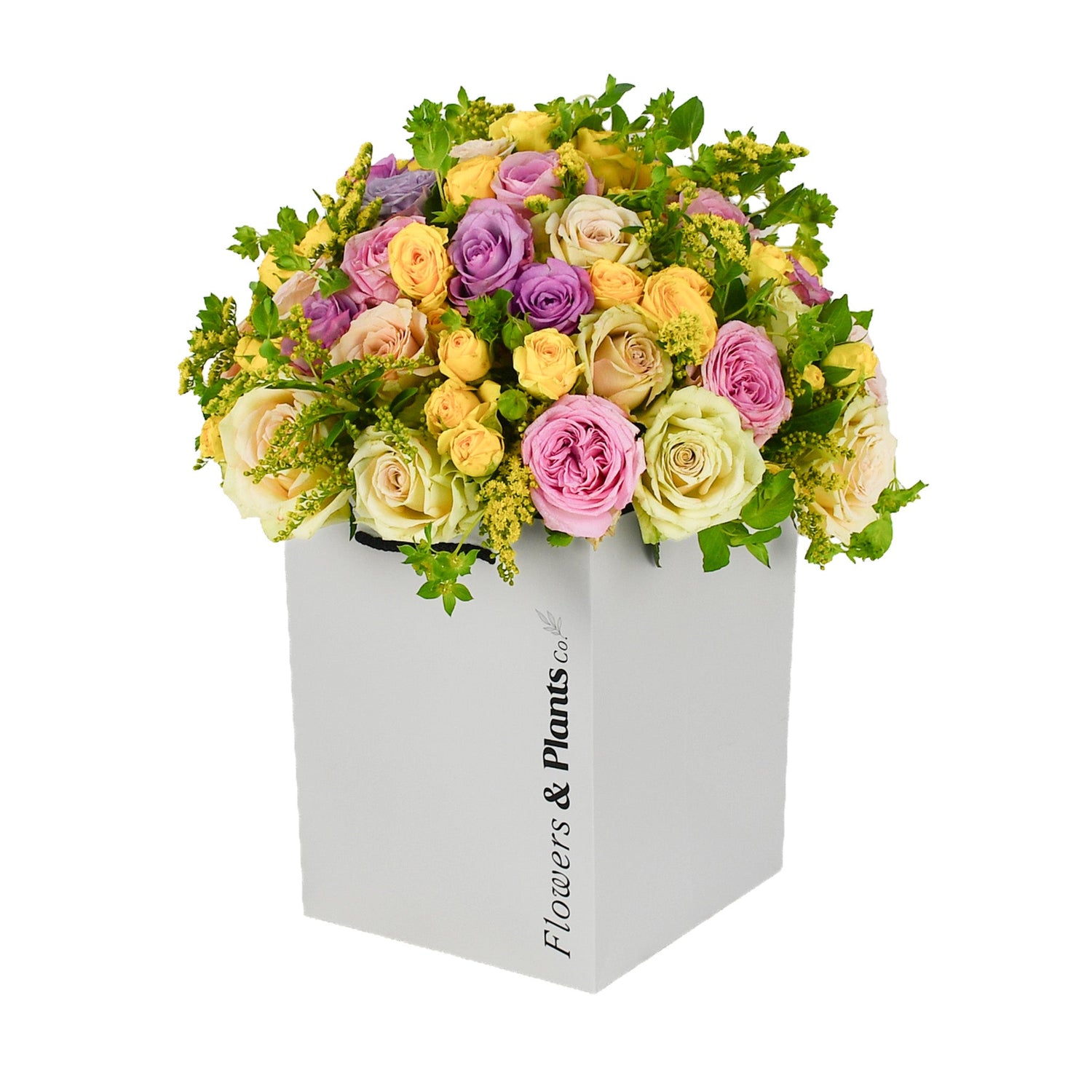 Rose Garden - Flowers &amp; Plants Co