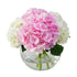Something Sweet Hydrangea Flowers & Plants Co