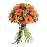 Saffron - Flowers & Plants Co