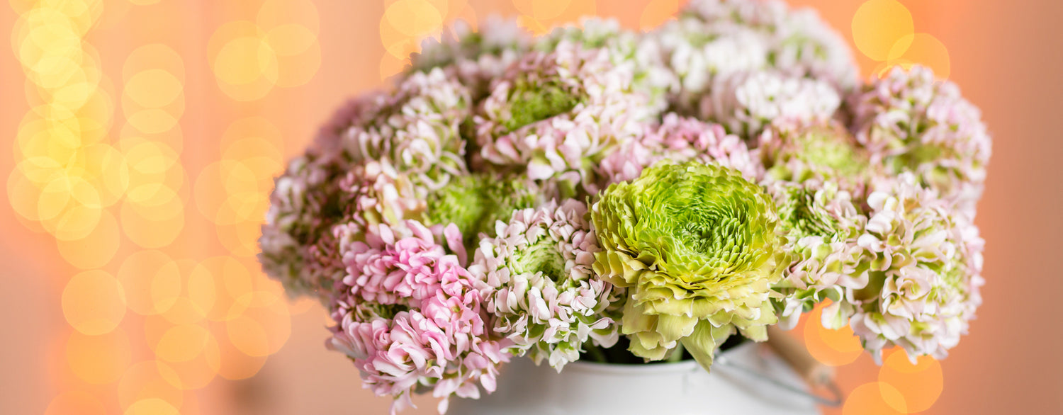 Flower Delivery London / UK Plants Delivered Flowers & Plants Co