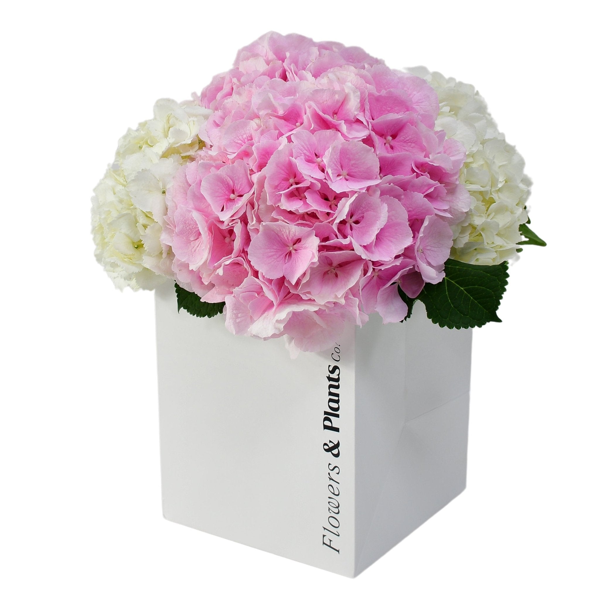 Something Sweet - Flowers &amp; Plants Co