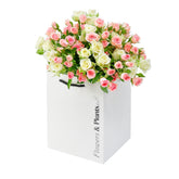 Spray Roses - Flowers & Plants Co