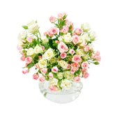 Spray Roses - Flowers & Plants Co