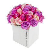 Strawberries & Cream - Flowers & Plants Co
