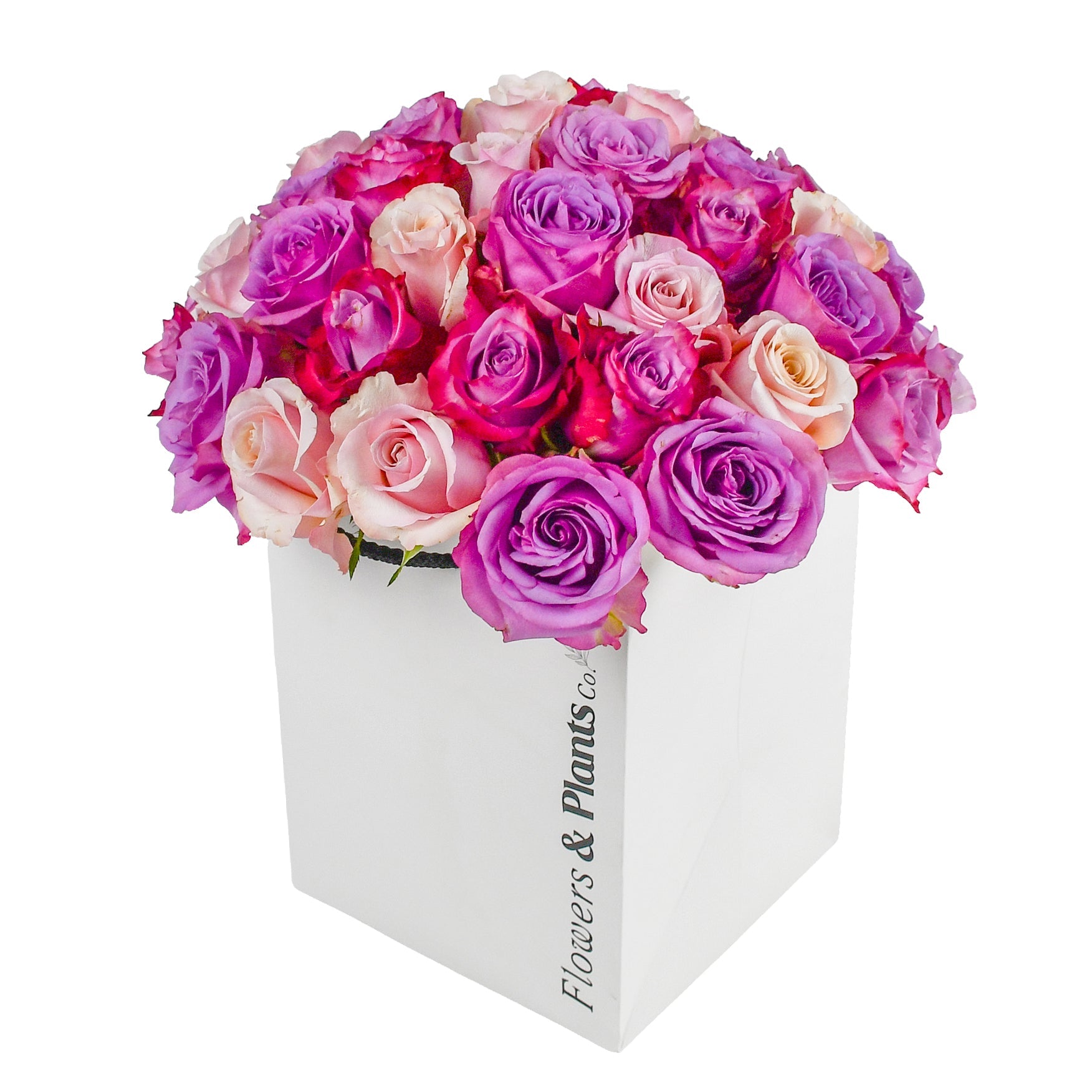 Strawberries &amp; Cream - Flowers &amp; Plants Co
