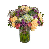 Sunny Joy - Flowers & Plants Co