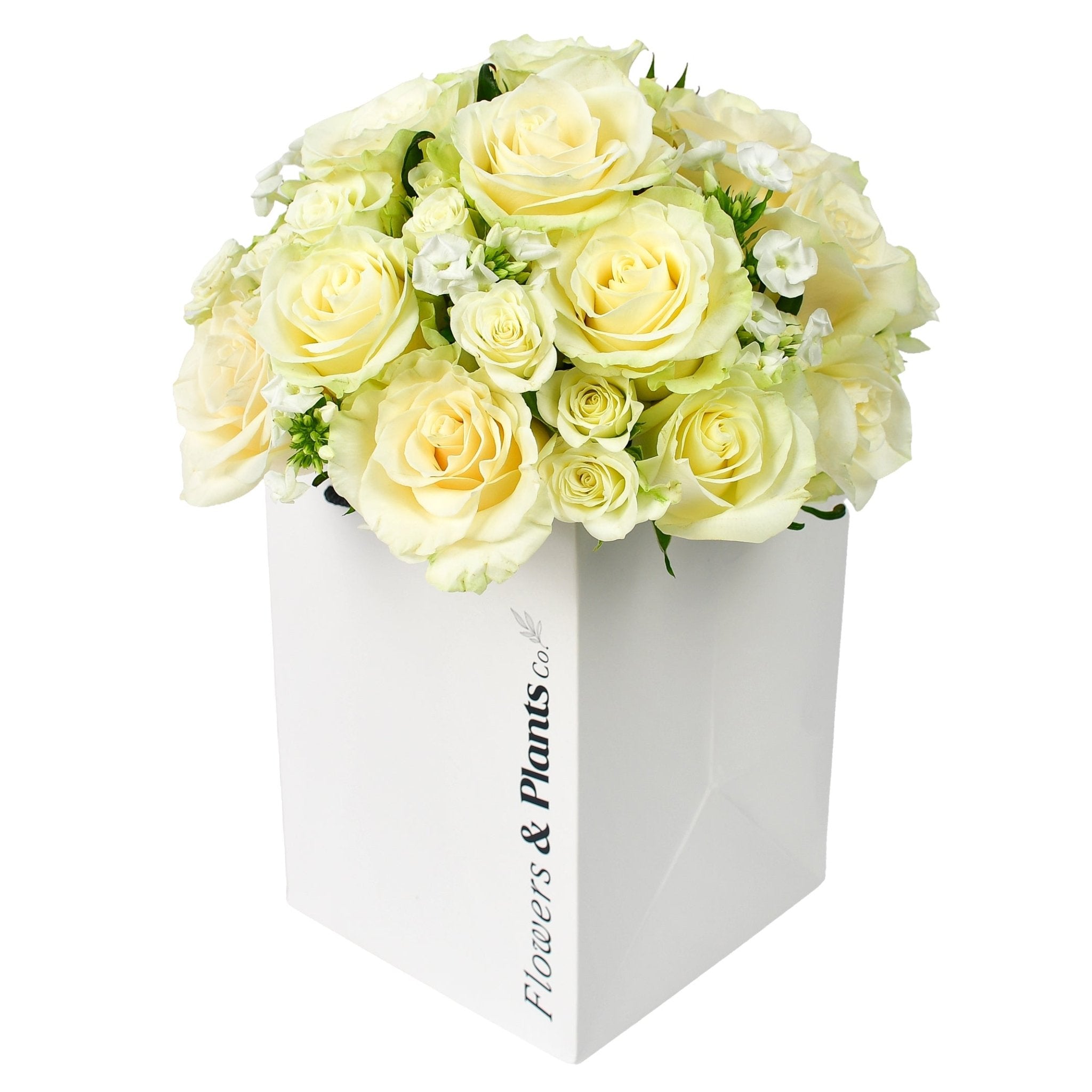 The Lady Jane - Flowers &amp; Plants Co