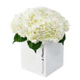 The One - Flowers & Plants Co