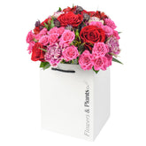The Pink Lady - Flowers & Plants Co