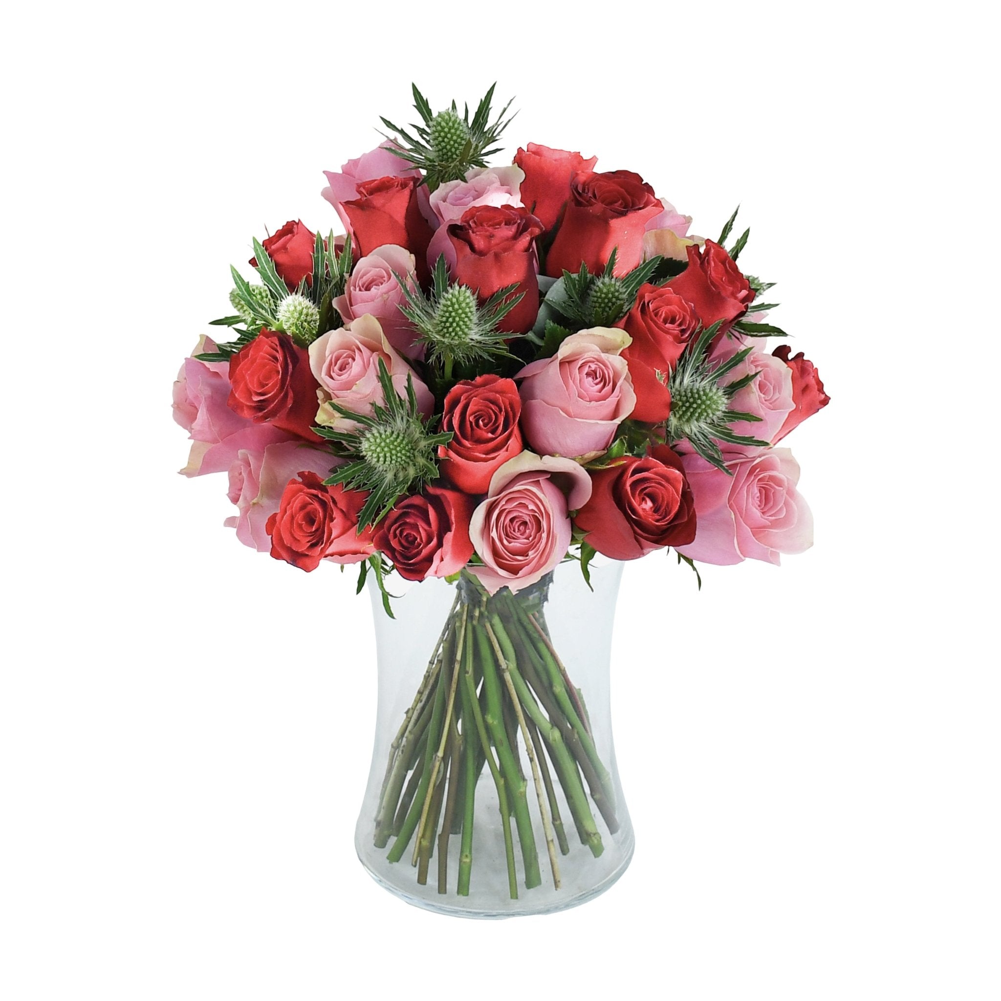 Thistle Muse - Flowers &amp; Plants Co