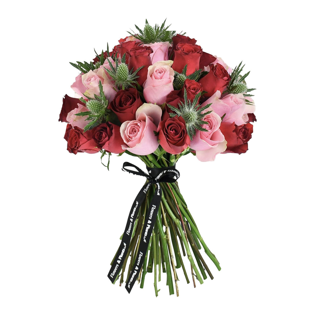 Thistle Muse - Flowers &amp; Plants Co