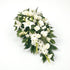 White Spray - Flowers & Plants Co