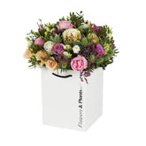 Wild Coast - Flowers & Plants Co