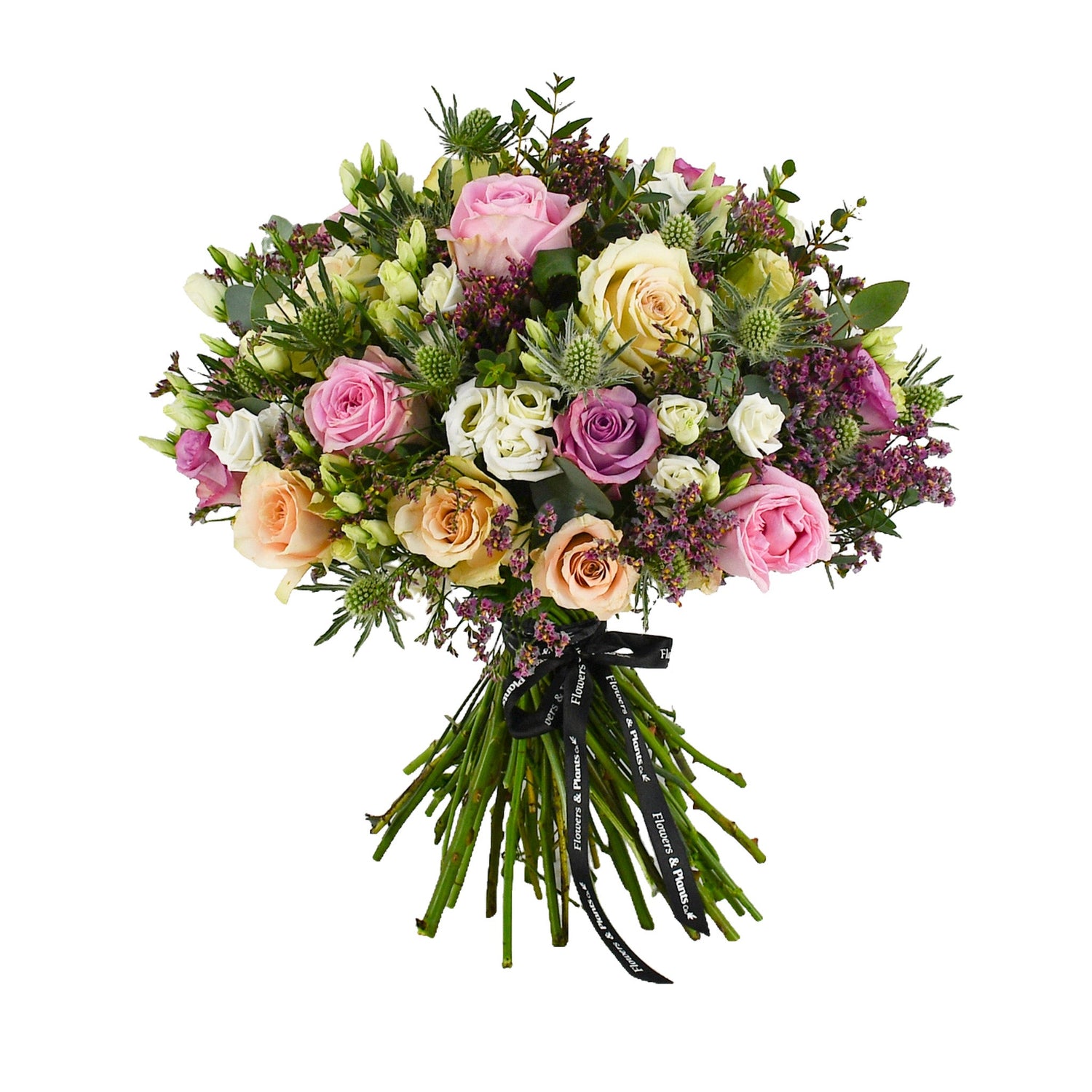Wild Coast - Flowers &amp; Plants Co