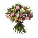 Wild Coast - Flowers & Plants Co