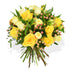 Yellow Roses Roses Flowers & Plants Co