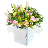 Sorbet  Flowers & Plants Co