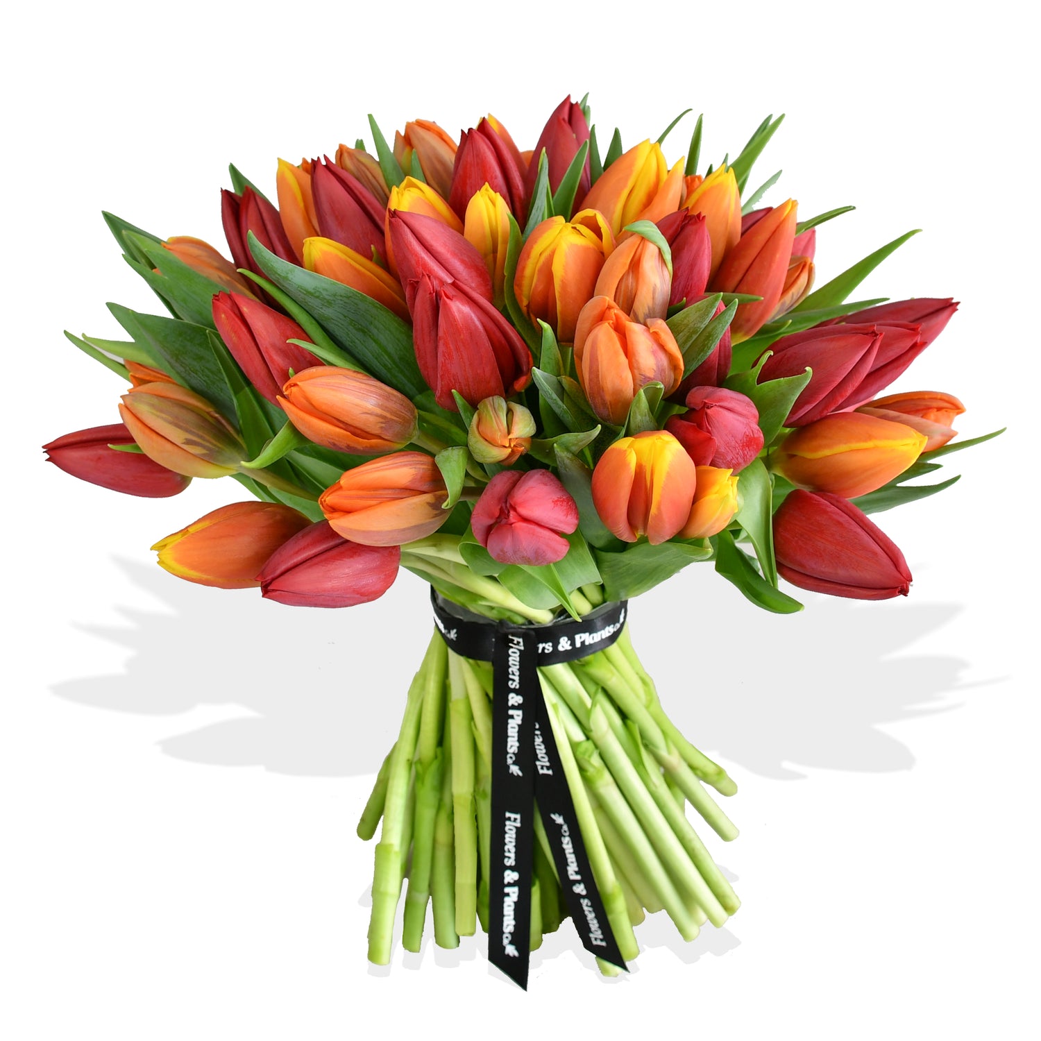 Red and Orange Crush Tulips Flowers &amp; Plants Co