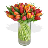 Red and Orange Crush Tulips Flowers & Plants Co