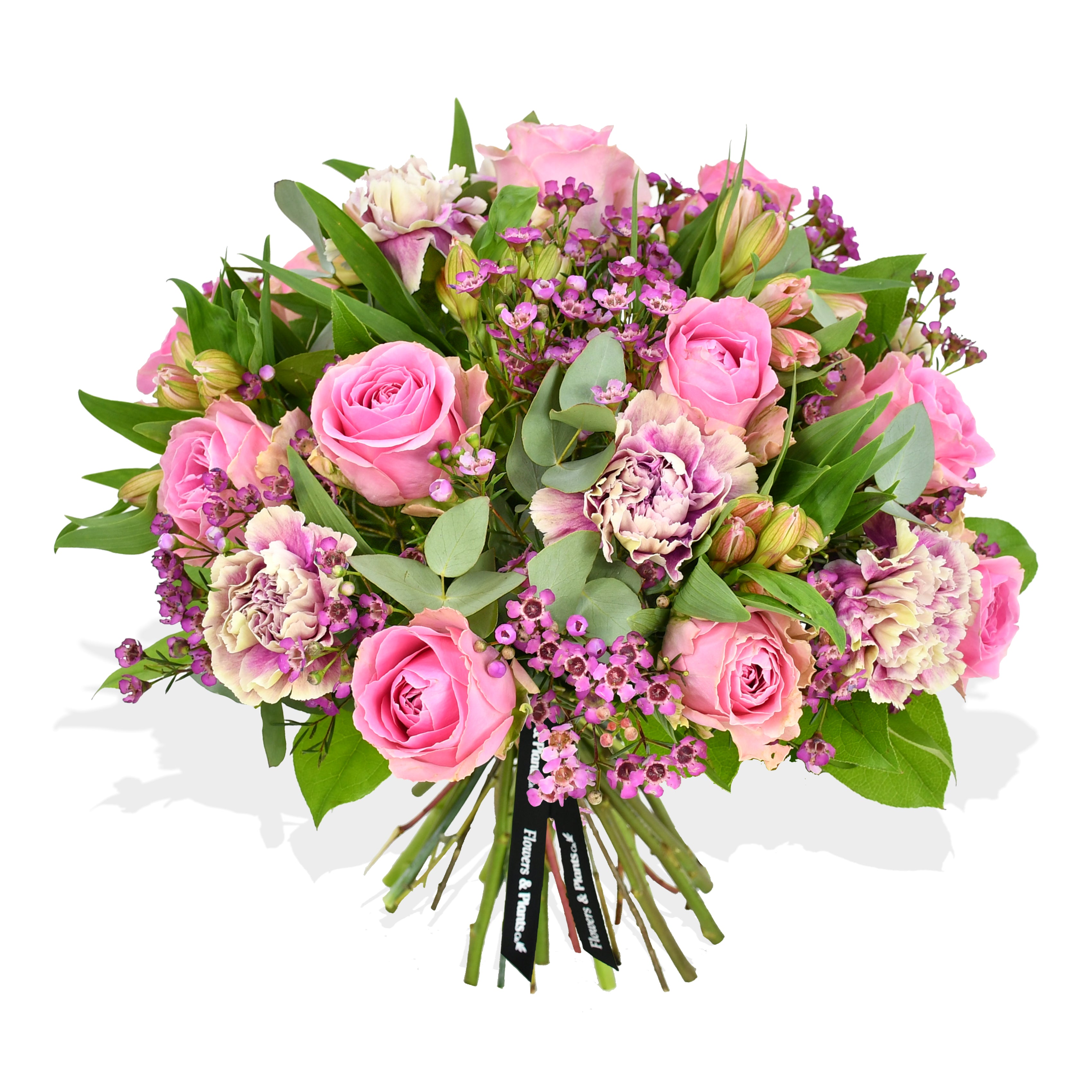Sweet Pinks Roses Flowers &amp; Plants Co