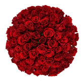 Red Velvet Roses Flowers & Plants Co