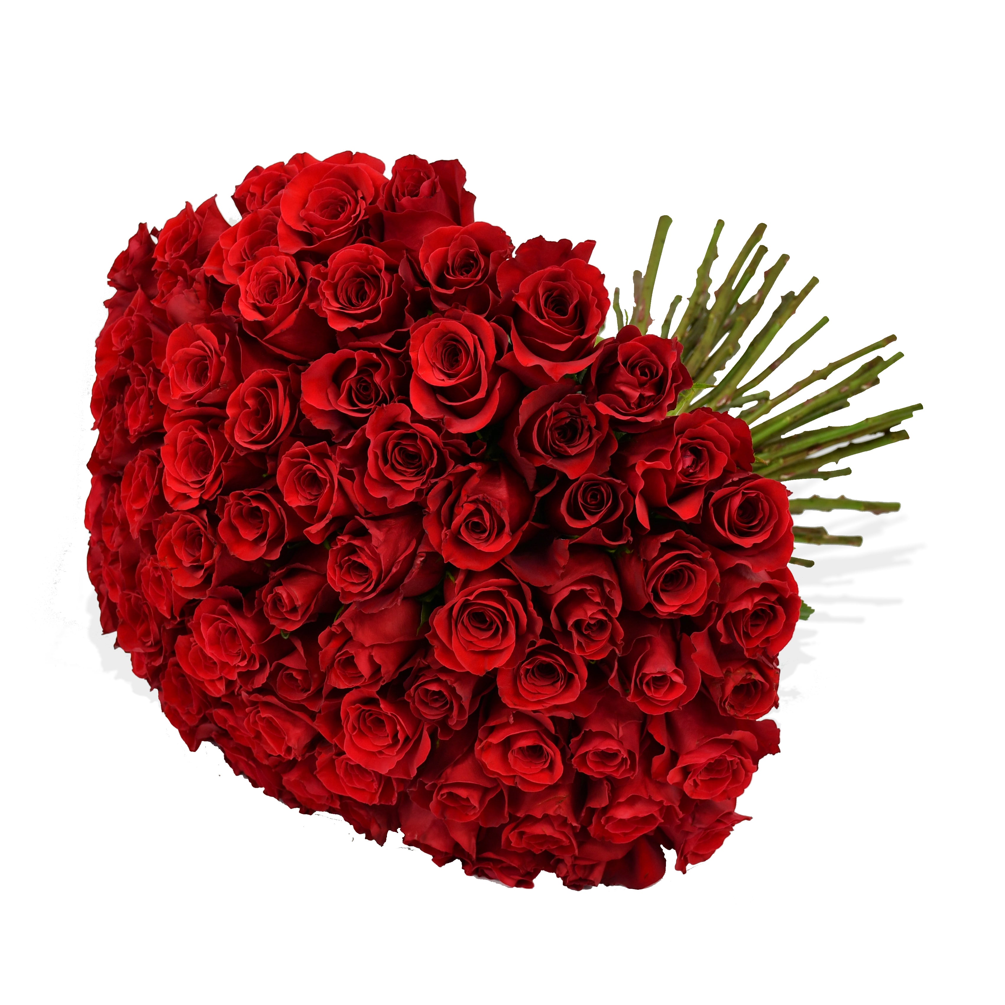 Red Velvet Roses Flowers &amp; Plants Co
