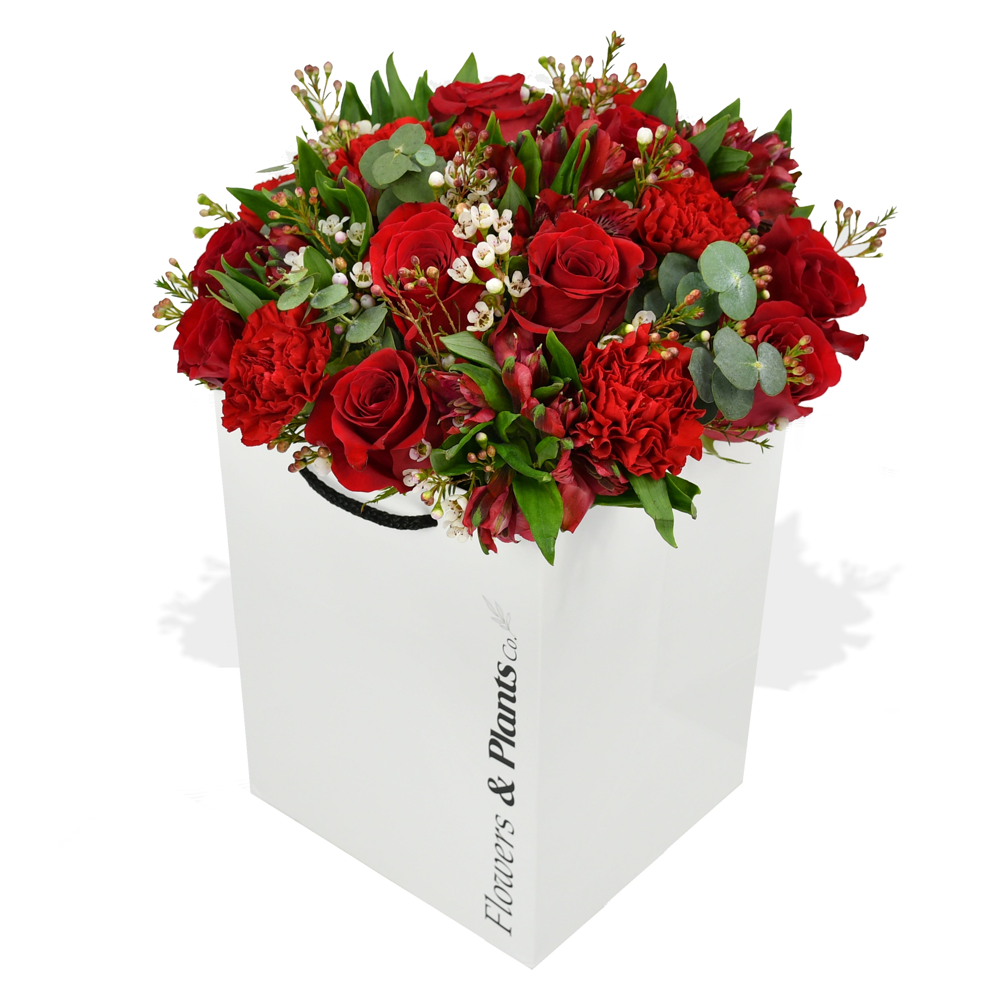 Rouge Roulette Roses Flowers &amp; Plants Co