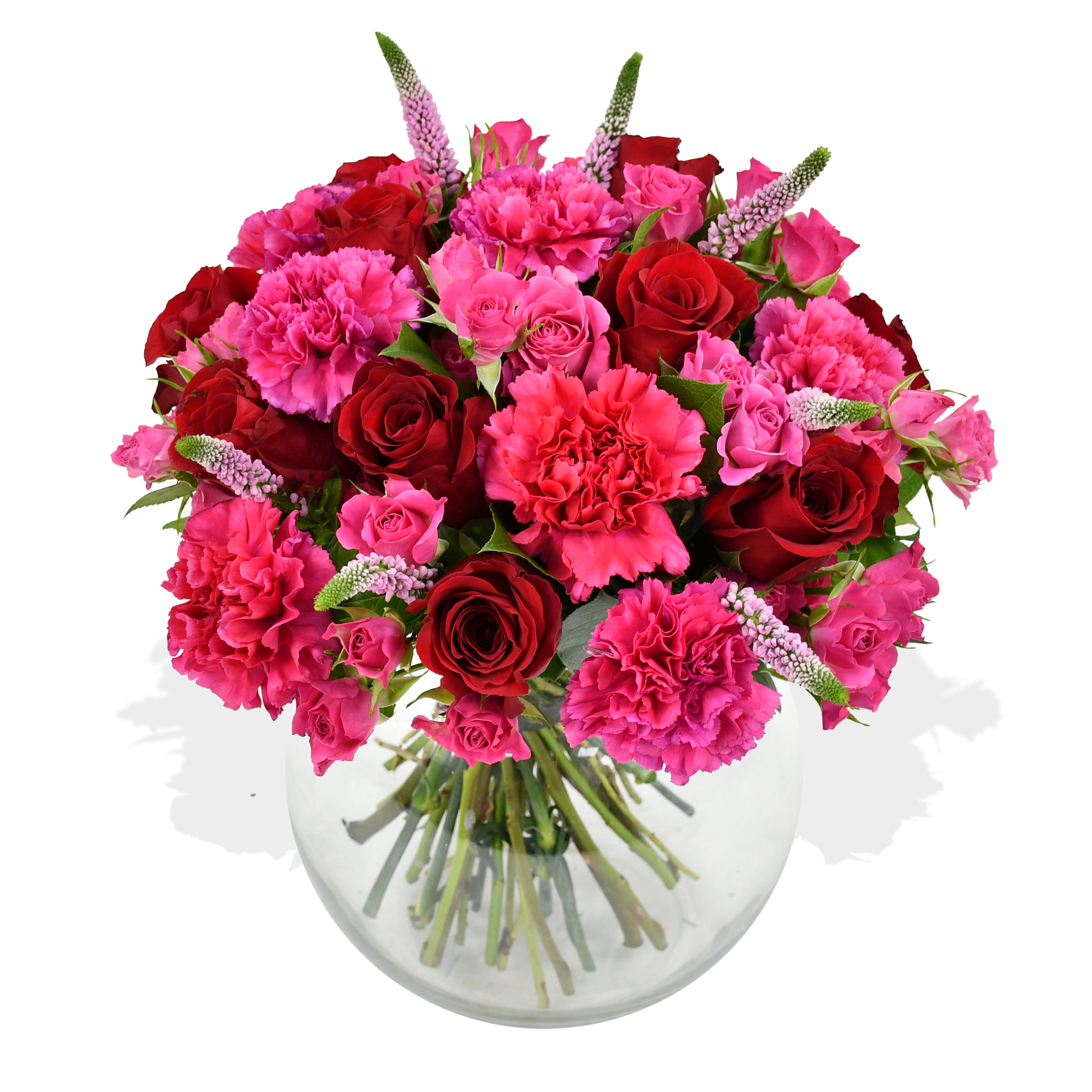 Hot Pinks Roses Flowers &amp; Plants Co