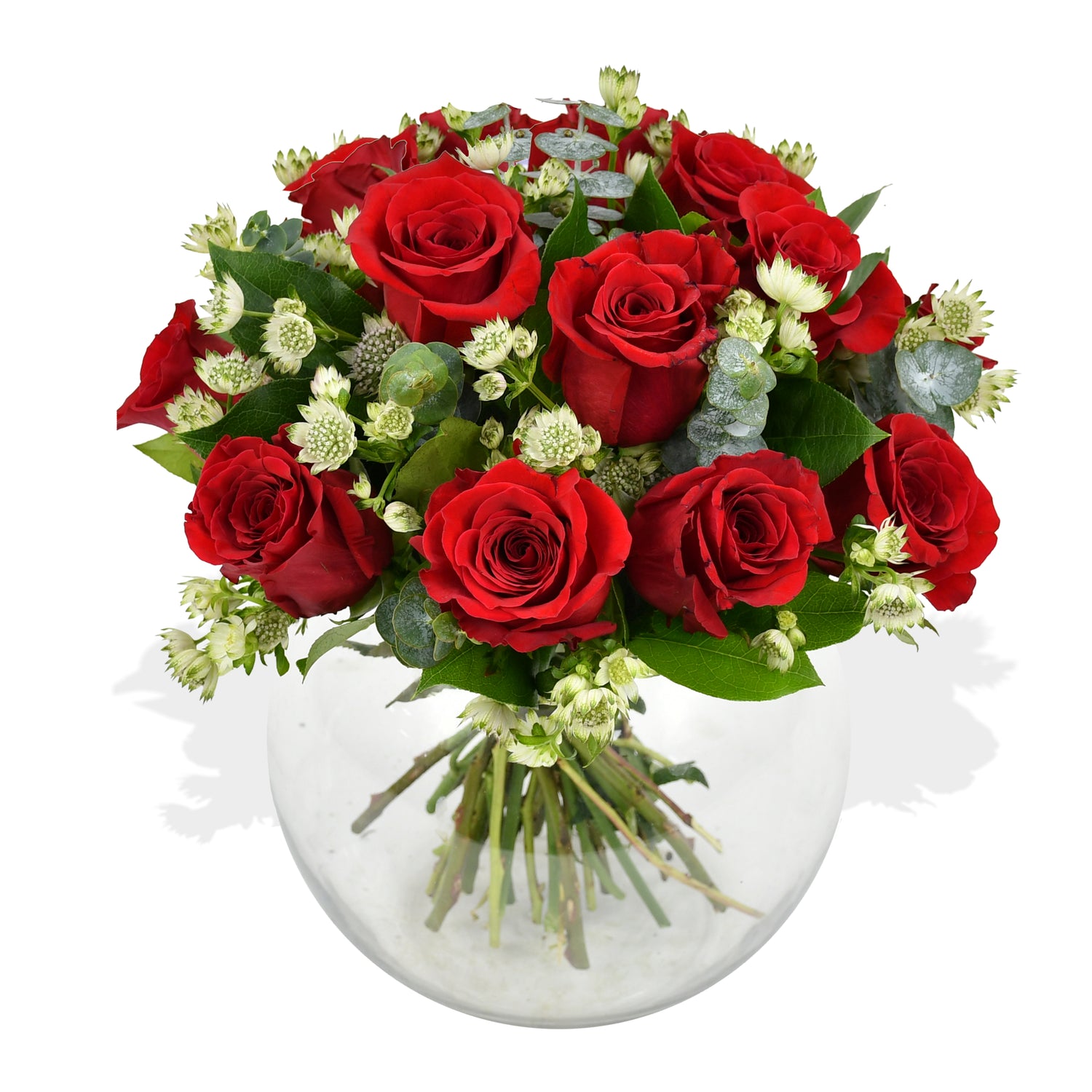 Elixir of Love Roses Flowers &amp; Plants Co