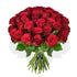 Red Red Rose Roses Flowers & Plants Co