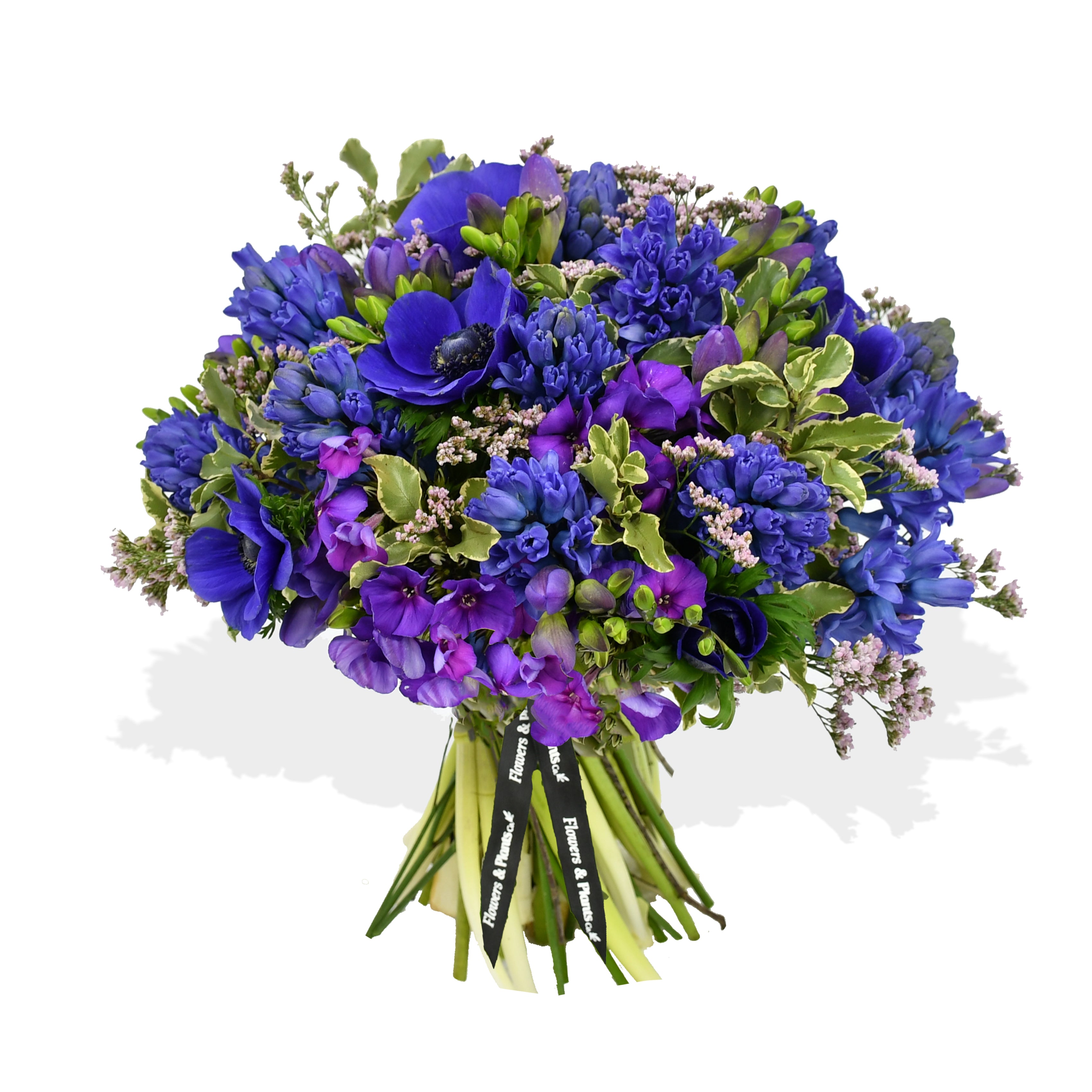 Purple Mix  Flowers &amp; Plants Co