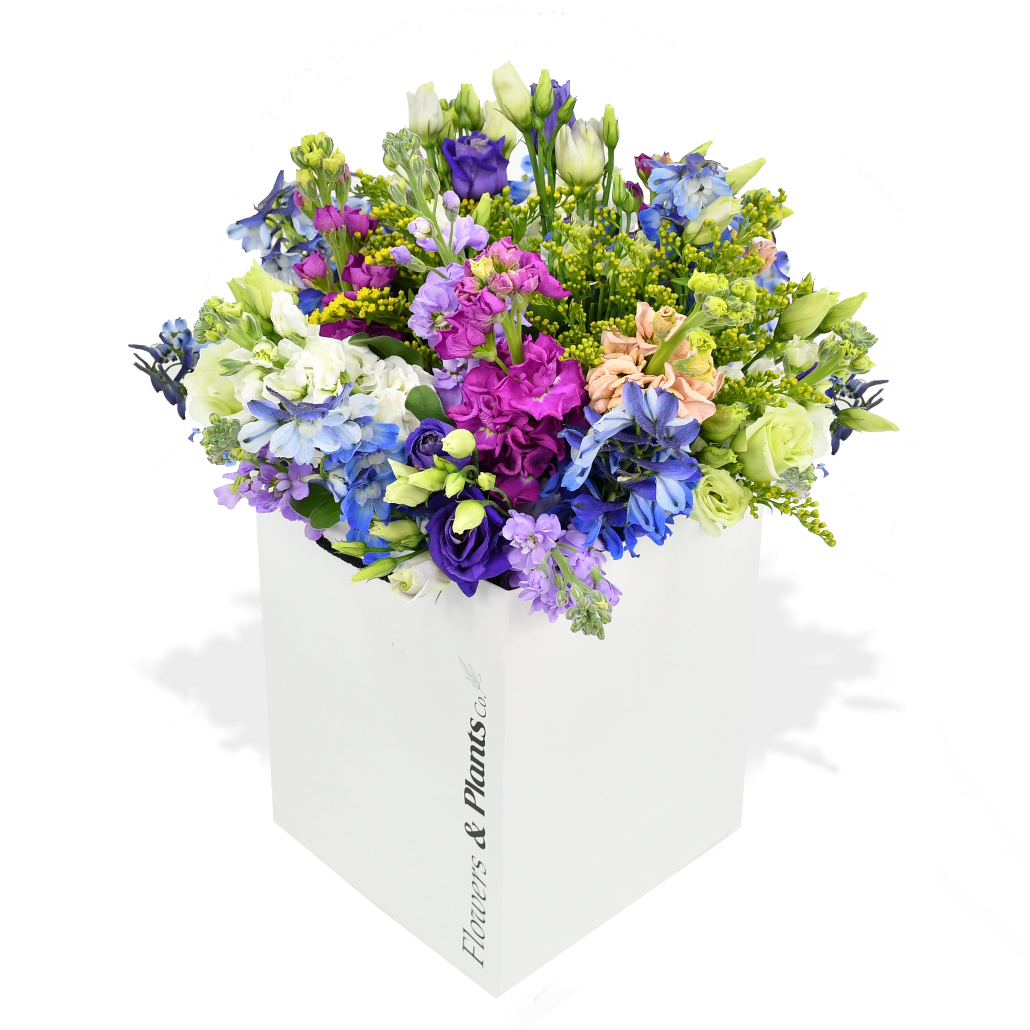 stocks and blue delphinium in a gift bag