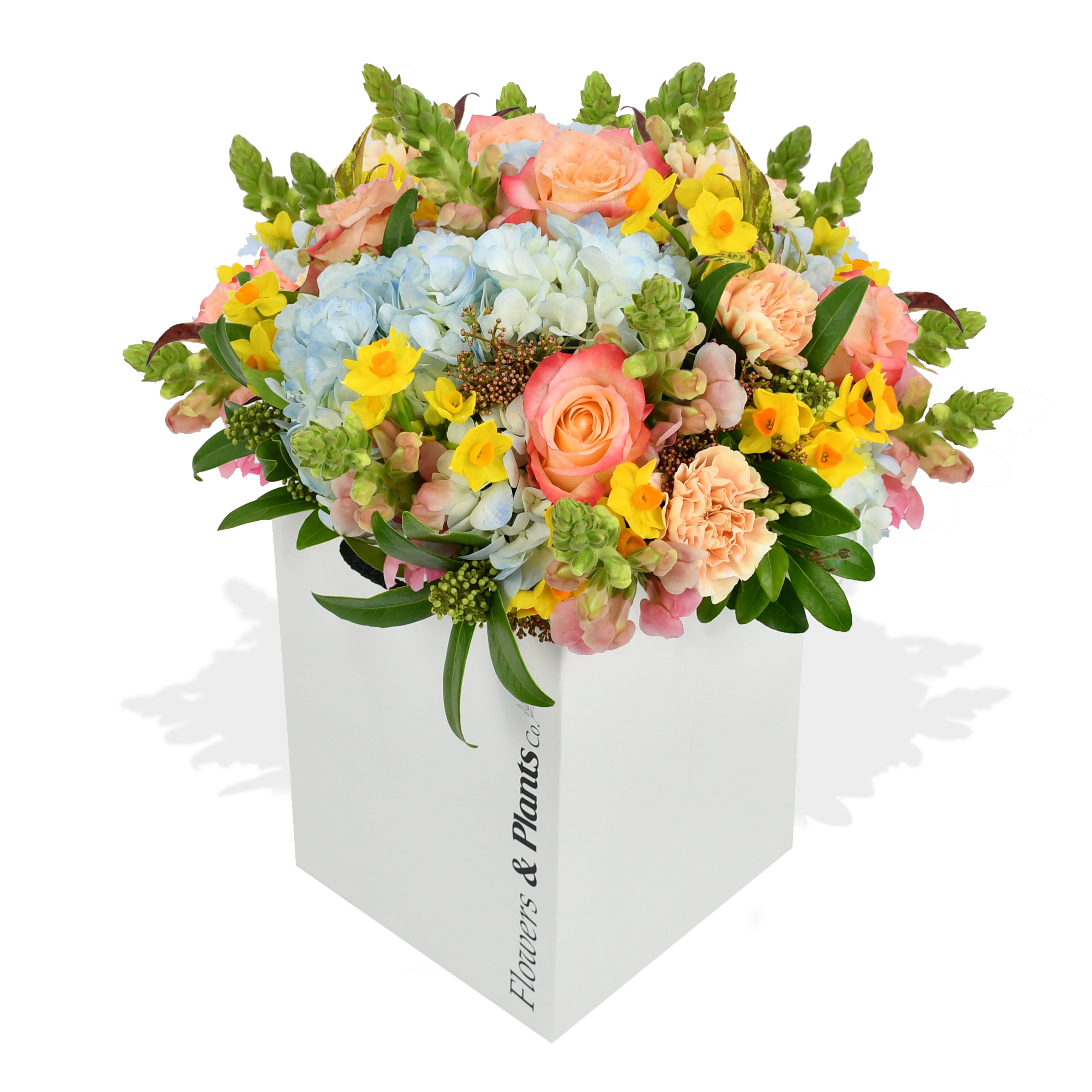 Joie De Vivre Boquet by Flowers & Plants Co.