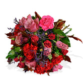 Carnation and Roses - Flowers & Plants Co
