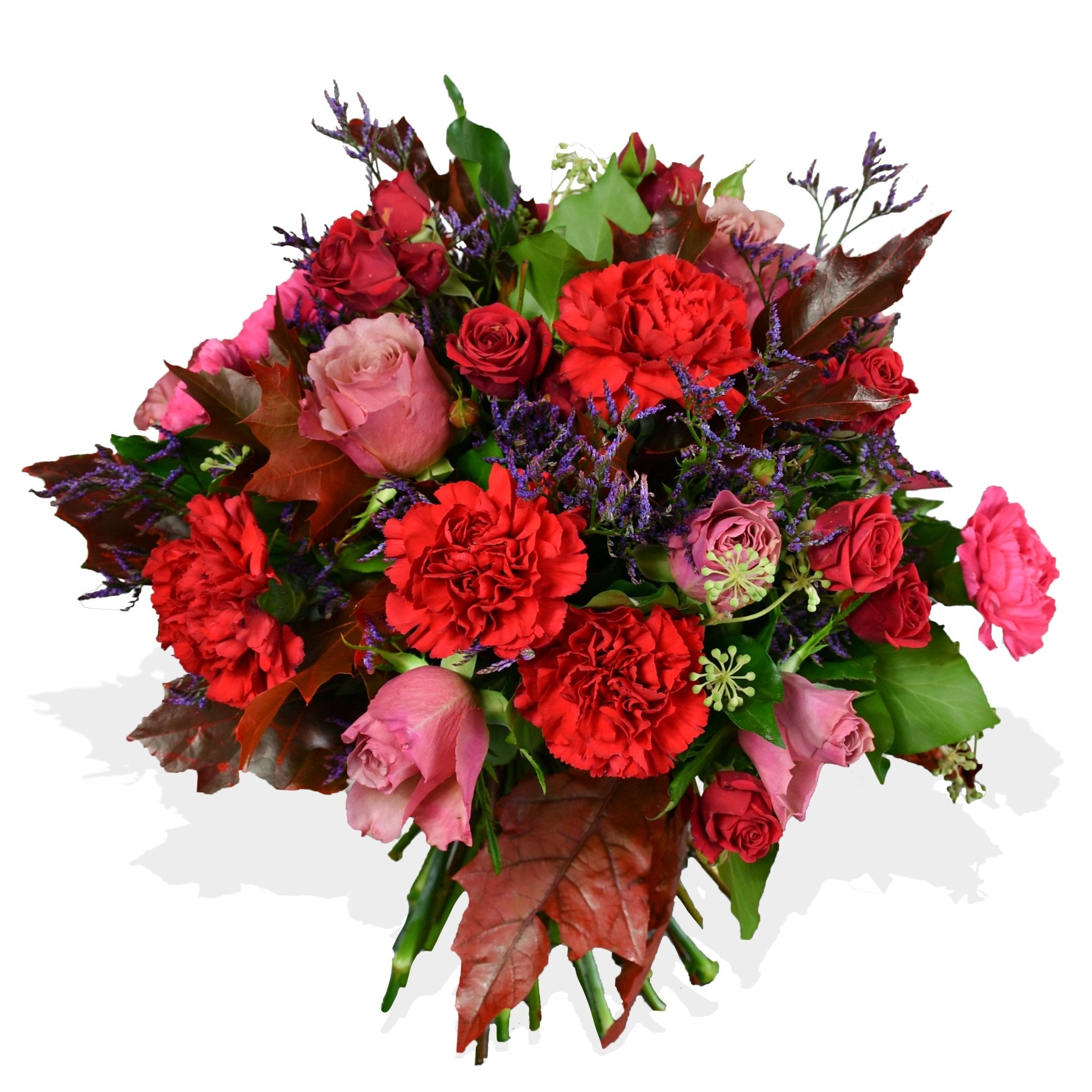 Carnation and Roses - Flowers &amp; Plants Co