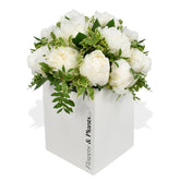 Cloud Nine - Flowers & Plants Co