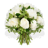 Cloud Nine - Flowers & Plants Co