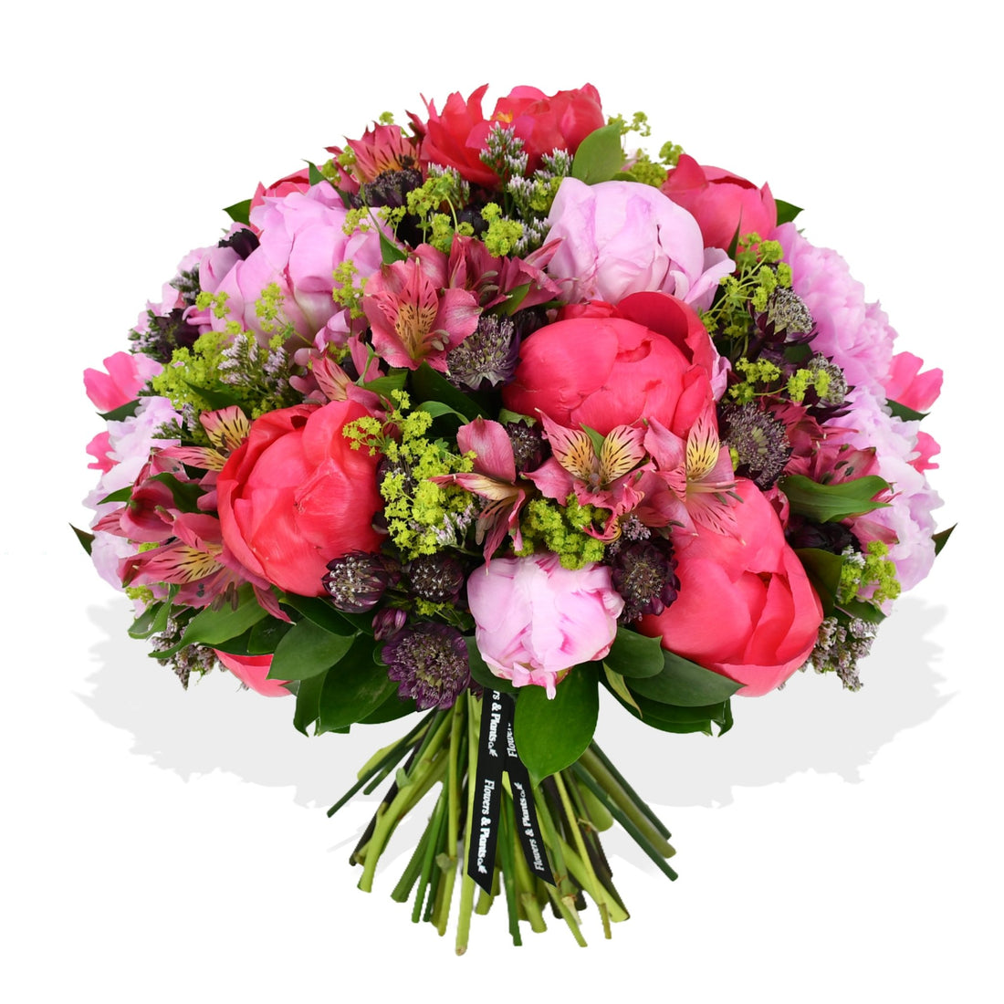 Coral Charm - Flowers &amp; Plants Co