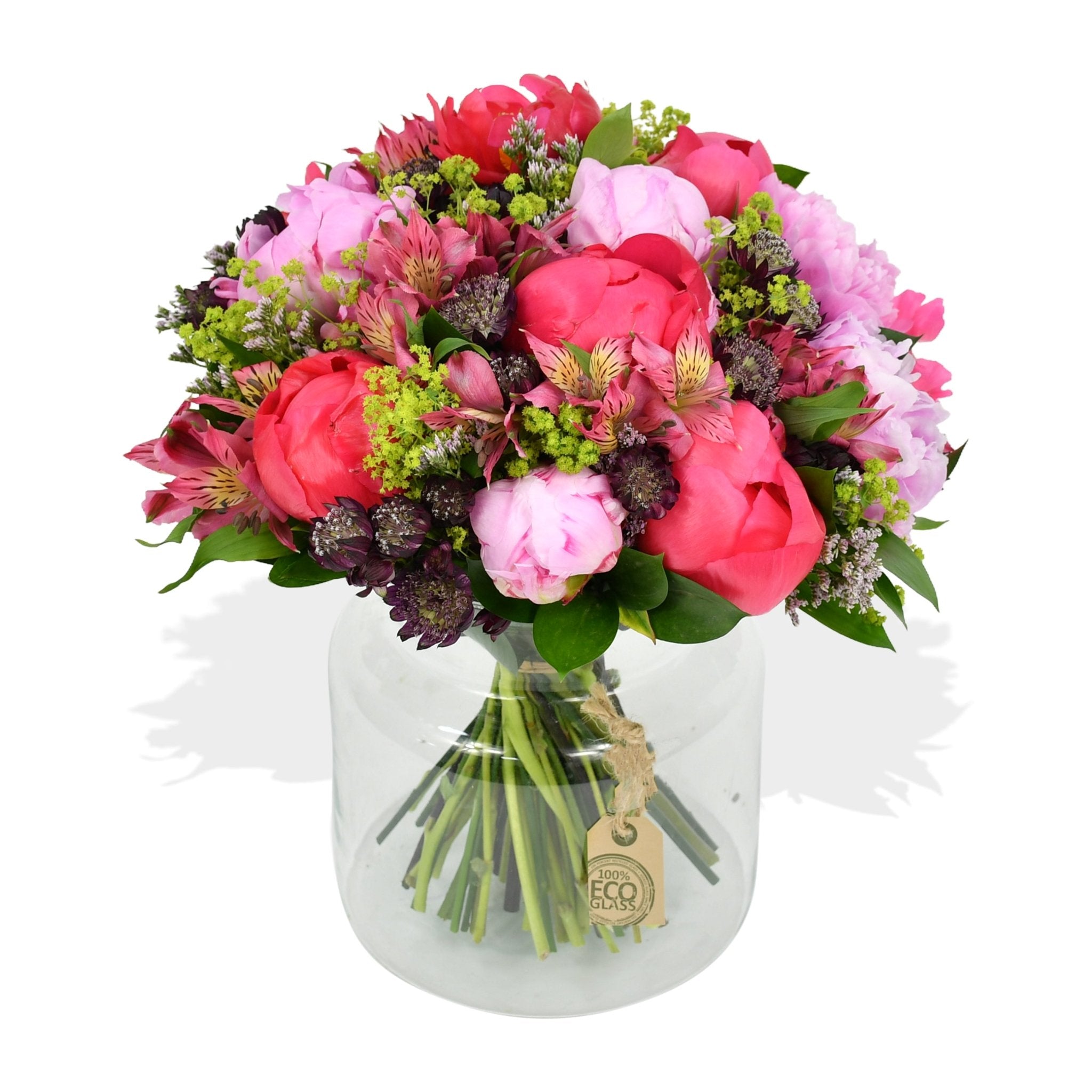 Coral Charm - Flowers &amp; Plants Co