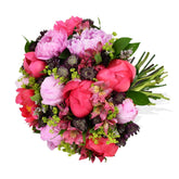 Coral Charm - Flowers & Plants Co