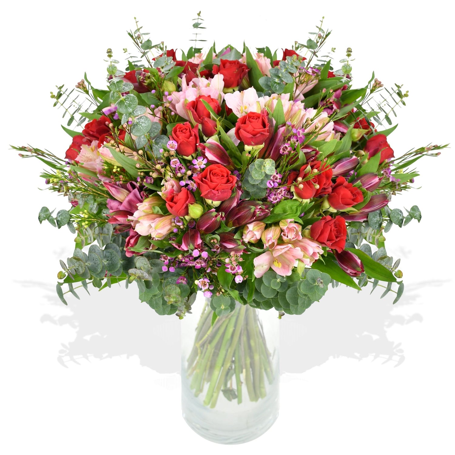 Dream Girl - Flowers &amp; Plants Co