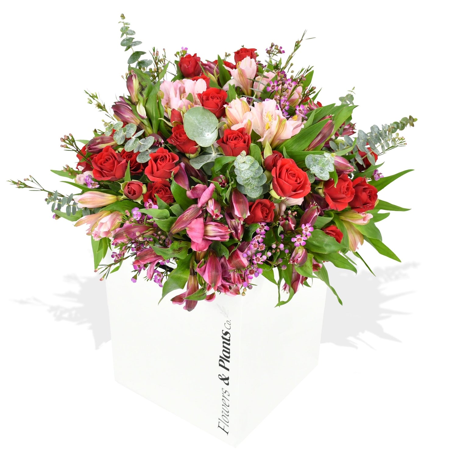 Dream Girl - Flowers &amp; Plants Co